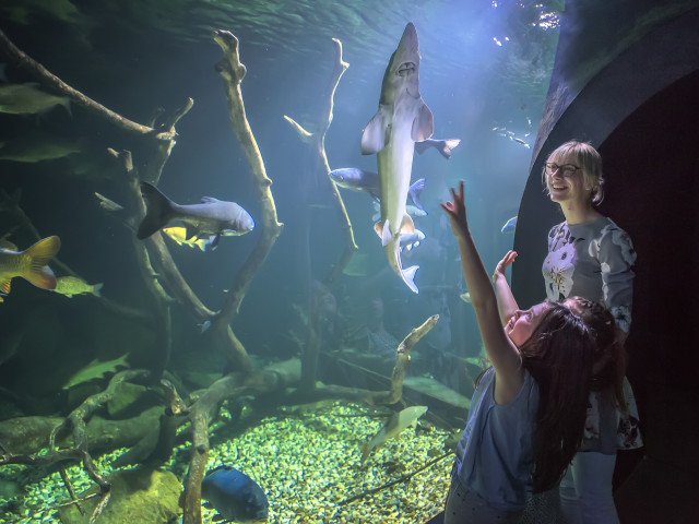 AQUATIKA, thrilled children and mum with aquarium