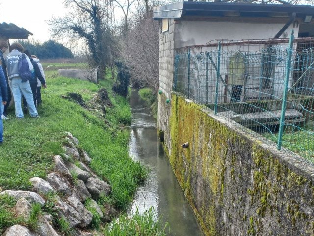 Fieldtrip with students along the Rio Roiello di Pradamano – Pradamano – Anna Brusarosco – 2024