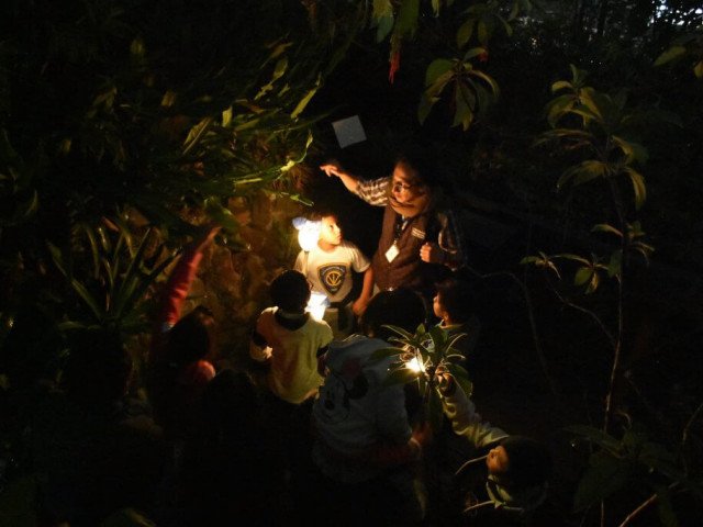 Night visits at Pumamaki with torches as a special activity of the museum. © YAKU-FMC, 2017
