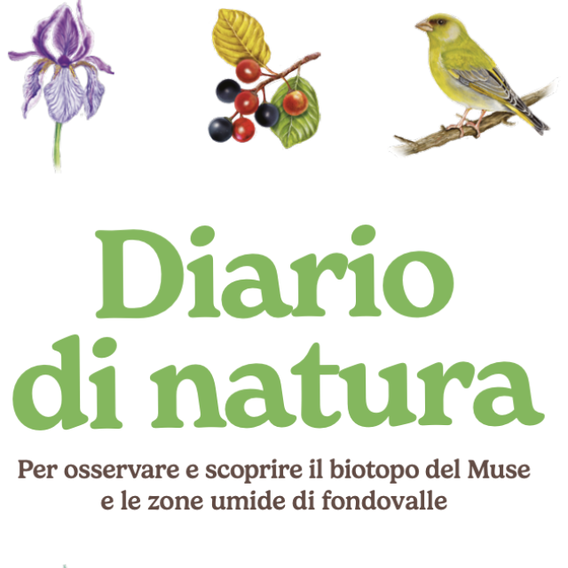 Nature Journalism and Wetlands | MUSE, Italy