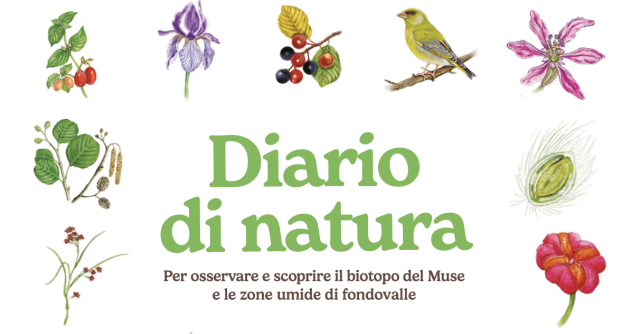 Nature Journalism and Wetlands | MUSE, Italy